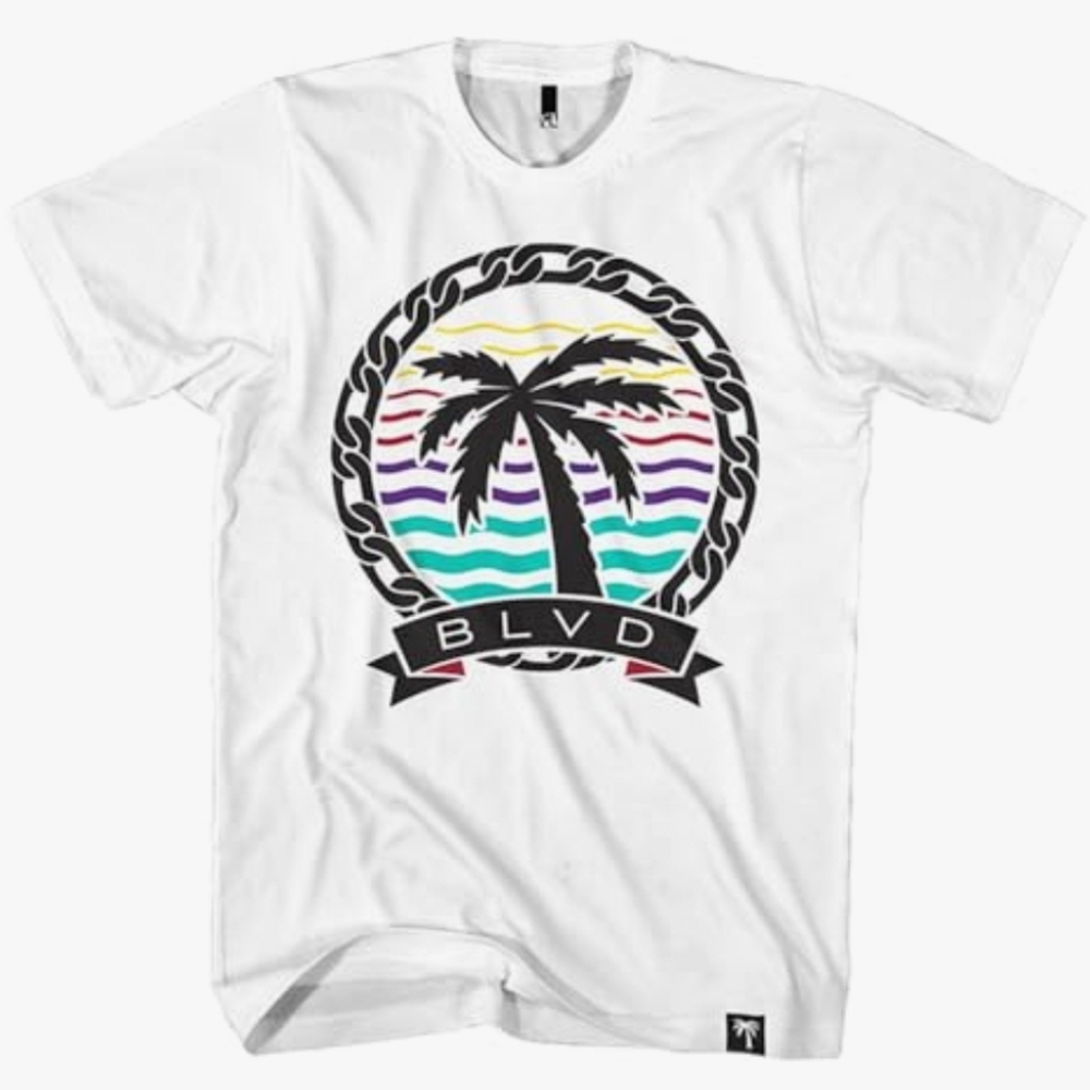 BLVD Supply Men's Fashion Short Sleeve T-Shirt Loose Fit Heavyweight